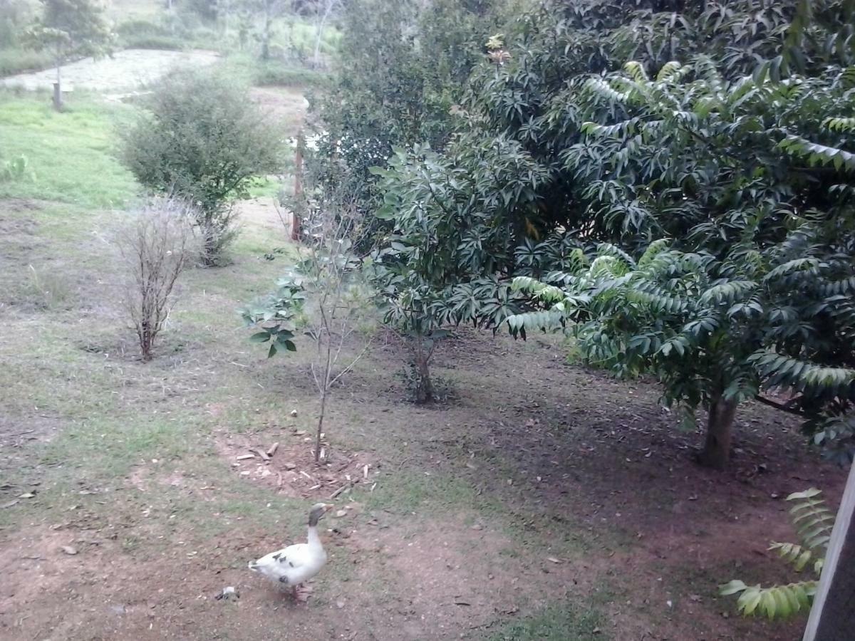 Sitio Urbano